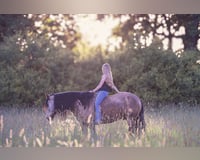 preview pic