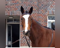preview pic