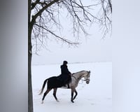 preview pic