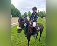 preview pic