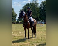 preview pic