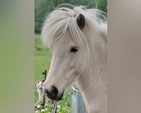 preview pic