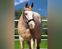 preview pic
