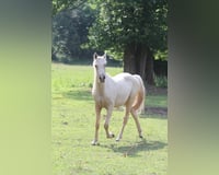 preview pic