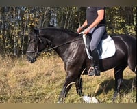 preview pic