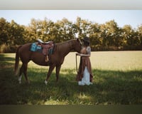 preview pic