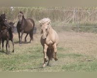 preview pic