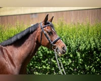 preview pic