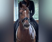 preview pic