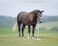 preview pic