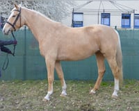 preview pic