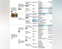 preview pic