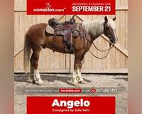 preview pic