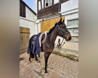 preview pic