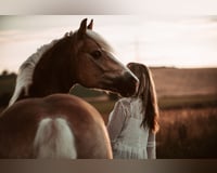 preview pic