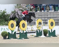 preview pic