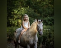 preview pic