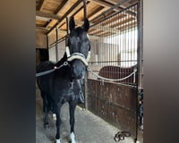 preview pic