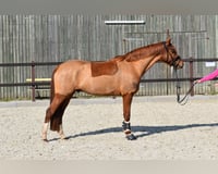 preview pic