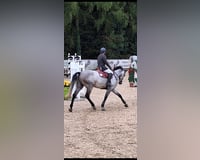 preview pic