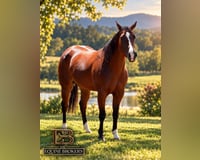 preview pic