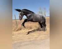 preview pic