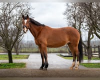 preview pic
