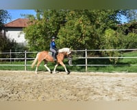 preview pic