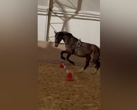 preview pic