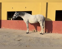 preview pic