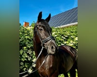 preview pic