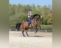 preview pic