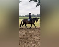 preview pic