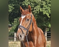 preview pic