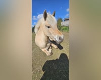 preview pic