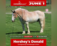preview pic