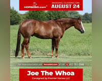 preview pic