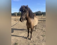 preview pic