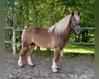 preview pic