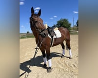 preview pic