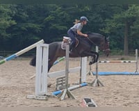 preview pic