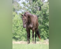 preview pic
