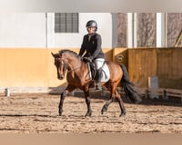 preview pic