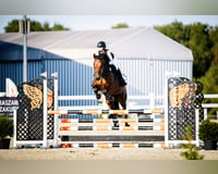 preview pic