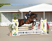 preview pic