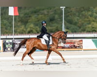 preview pic