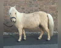 preview pic