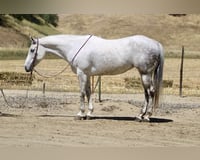 preview pic