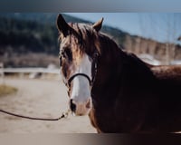 preview pic