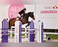 preview pic